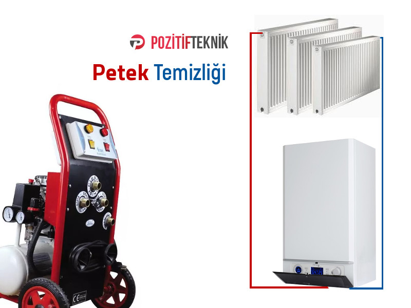 Petek Temizliği